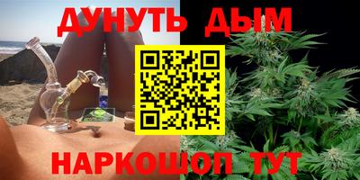 стафф Донецк