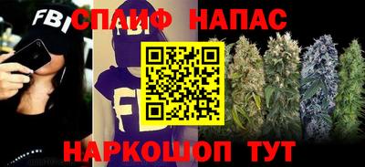 стафф Донецк