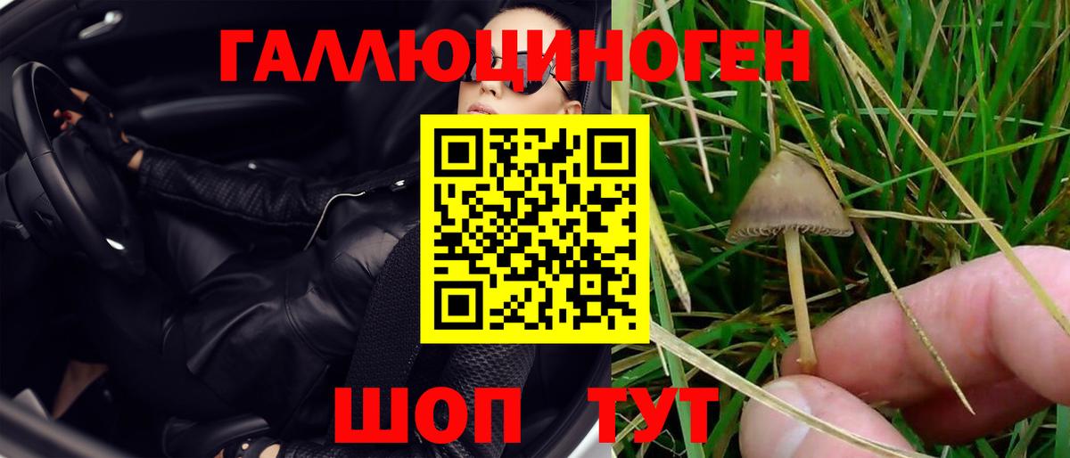 Галлюциногенные грибы GOLDEN TEACHER Петровск